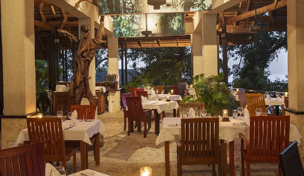 anse-chastanet-treehouse