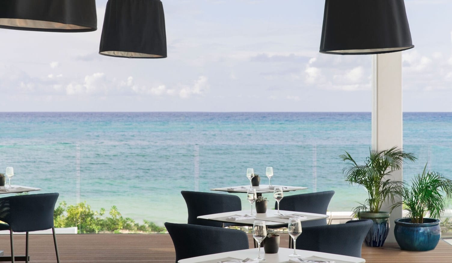 excellence-oyster-bay-seafood