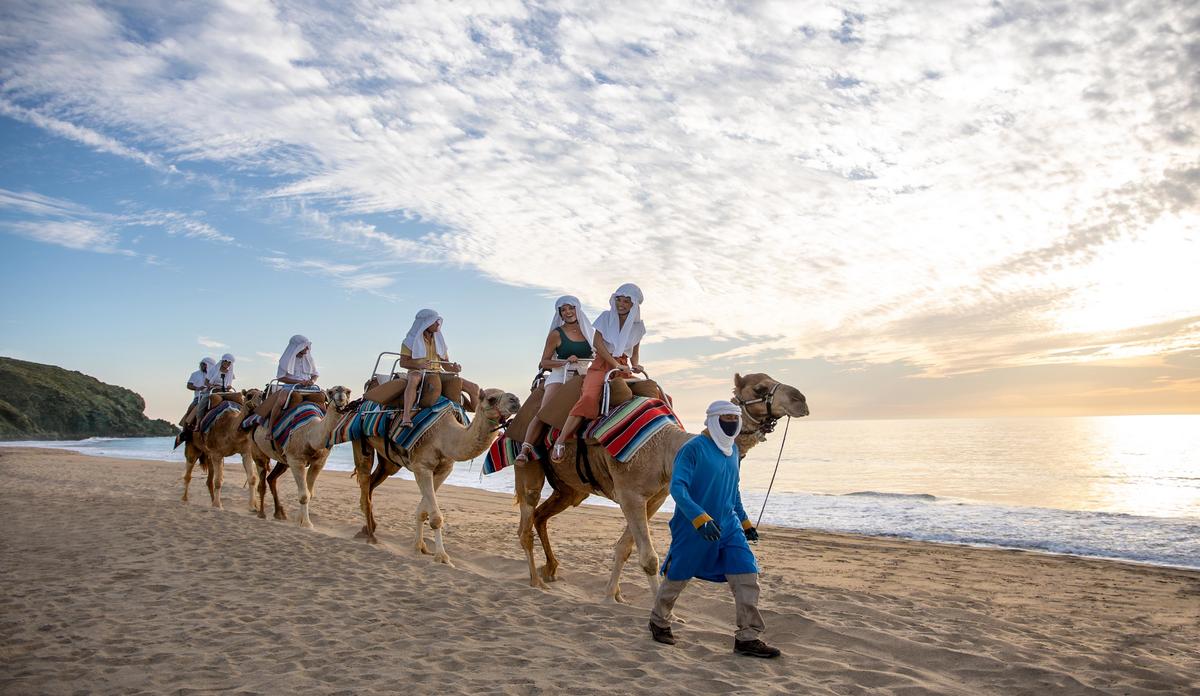 le-blanc-cabo-camel