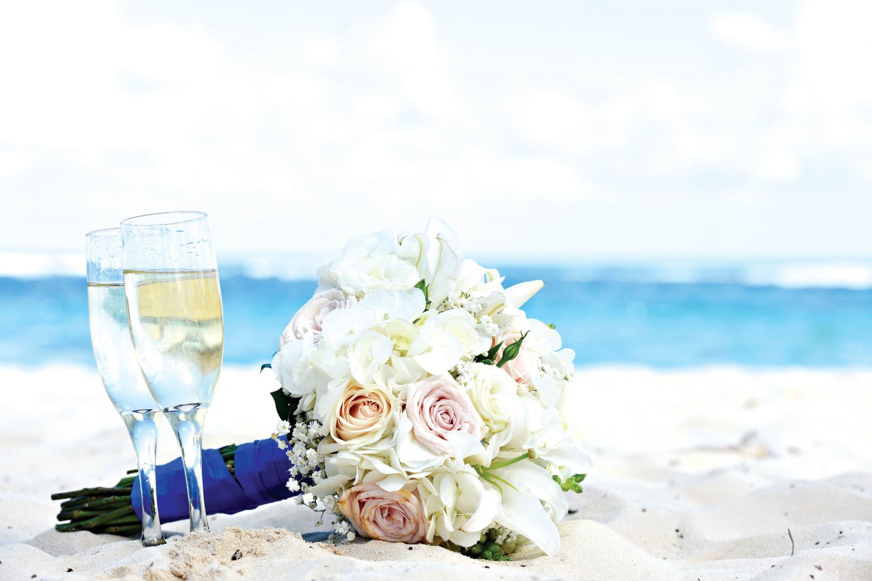 royalton-punta-cana-wedding-toast